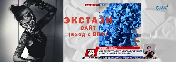 молекула духа Бородино