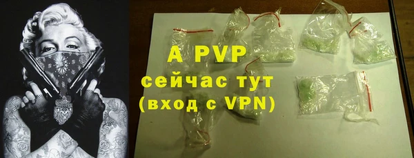 шишки Богданович
