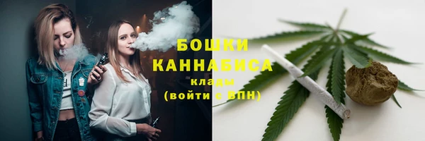 молекула духа Бородино