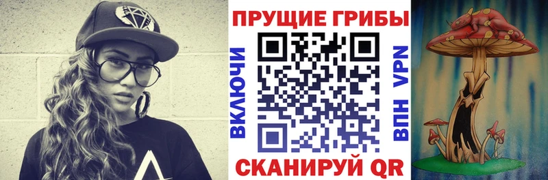 Псилоцибиновые грибы мицелий  купить   Дальнереченск 