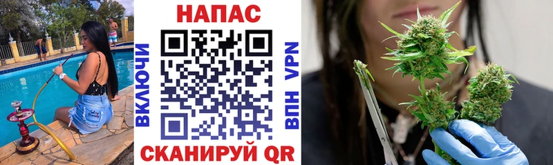 Бошки Шишки индика  Дальнереченск 